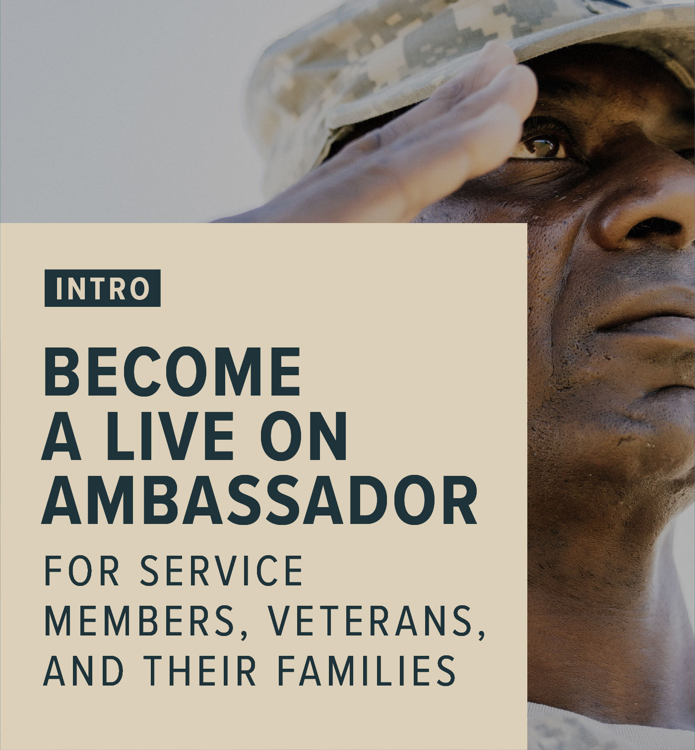 vet salute
